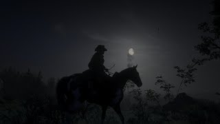 RDR2  Naturalist Legendary Animal samples [upl. by Cicero]