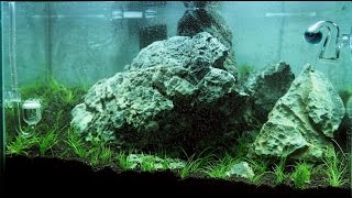 Nano Iwagumi Aquascape quotThe Big Onequot ADA Mini M  Step by Step [upl. by Gherardo]