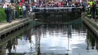 Zeehond dolt in de Vliet [upl. by Merideth]