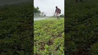 pharming Kisan 🌾🚜🙏🏼💪💪575xp [upl. by Allerym]