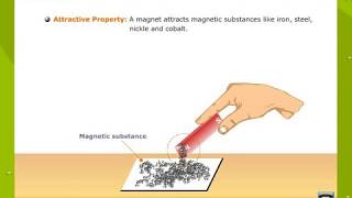 Properties Of a Magnet [upl. by Cirde]