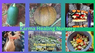 Biochar Creation Aug6 2024quotKarma Healing Nurseryquotorganichealing plantbasedcommunity love [upl. by Acinorev]