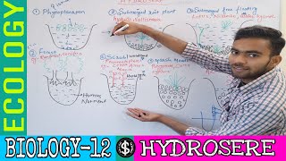 lect2Hydrosere succession stage Ecology class 12जलक्रमक क्या हैEcology in Hindi [upl. by Enala]