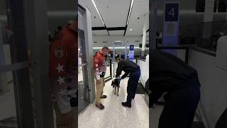 DixieThePrayingDog going through TSA at the airport dog travel airport doglover [upl. by Ricca987]