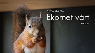 Ekornet vårt [upl. by Gone]