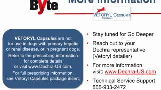 Dechra  Vetoryl Capsules SoundByte [upl. by Taam518]