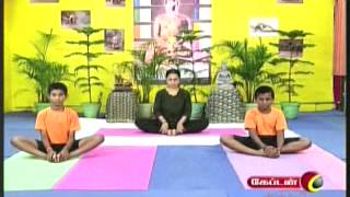 Dr Lakshmi Andiappans Yoga Therapy Program for Various Ailments 27032013 [upl. by Oreves]