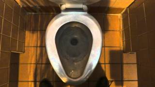 Bathroom Tour Metal Toilets at Rest area in Comfort TX off Interstate 10 [upl. by Alhahs]