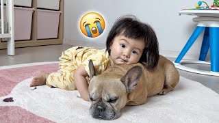 The Best 18 Months Of Our Lives My Baby and Dogs Grow Up Together [upl. by Smart]