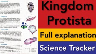 🔴 CL11  CH2  Kingdom Protista  Biological Classification  NEET [upl. by Denn212]