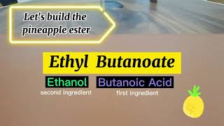 Esterification  reaction between carboxylic acid amp alcohol [upl. by Oirevlis]