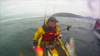 Porbeagle Shark catch and release in Malin Head Donegal Ireland estimated at 150lb [upl. by Trin]