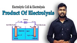 18Products of Electrolysis  Electrolytic Cell amp Electrolysis  Electrochemistry  in Tamil [upl. by Mcfadden667]