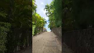 lanikai beach in Hawaii oahu [upl. by Ehgit284]