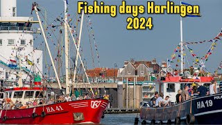 Fishing adventure in Harlingen in 2024 holland visitnetherlands event fishingday harlingen [upl. by Nnaillij]