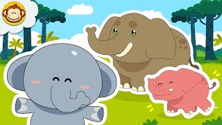 Lagu Anak Anak  Gajah 🐘  Mengenal Binatang  BaLiTa  Baba Lili Tata gajah laguanakindonesia [upl. by Ardekahs]