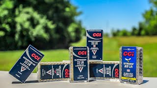 Best CCI 22lr Ammo [upl. by Oalsecnew51]