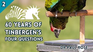 BIAZA Brings YouDr Paul Rose  The Continued Relevance of Tinbergens Four Questions to Zoos [upl. by Eberle]