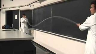 Wave Reflection and Standing Waves 2mp4 [upl. by Alicea536]