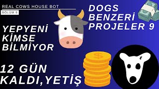 Dogs Benzeri Telegram Botları 9  Cows Bot 12GÜNKALDIKOŞ [upl. by Ugo307]