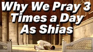 Why We Pray 3 times a day As Shias  By Sayed Ammar Nakshawani [upl. by Jaquenetta877]