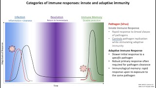 Lecture 1c Categories of Immune Responses [upl. by Snook546]