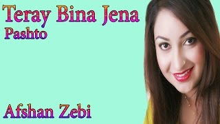 Teray Bina Jena  Afshan Zebi  Full HD Song  Romantic Hits [upl. by Naryk914]