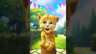 Miaou miaou la nuit dernière  Chansons Pour Enfants  Tom le Chat [upl. by Bazar180]