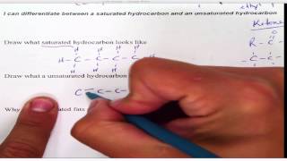 Saturated vs Unsaturated [upl. by Janella]