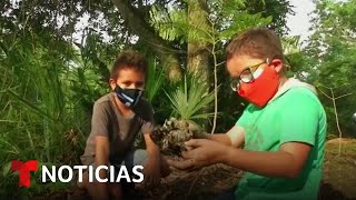 Un niño impulsa campañas para cuidar el medio ambiente  Noticias Telemundo [upl. by Moises]