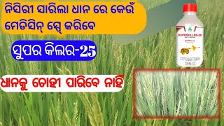 super killer 25 dhanuka cypermethrin25Ec  ନିସିରୀ ସାରିଲା ଧାନ ରେ ମେଡିସିନ୍ ସ୍ପେପ୍ର କରନ୍ତୁ [upl. by Ynot]