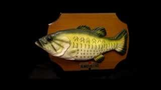 Gemmy Billy Bass Animatronic Fish Singing quotDont Worry be happywmv [upl. by Ardekahs]