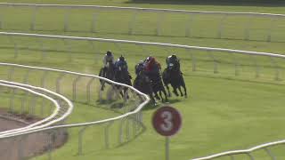 Heat 1 Doomben Jumpouts 270224 [upl. by Nytsirt]