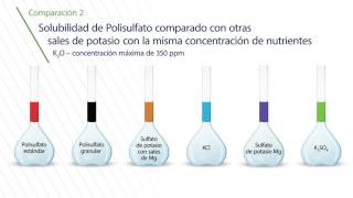 Entendiendo el Polysulphate solubilidad y liberación de nutrientes [upl. by Itsuj]