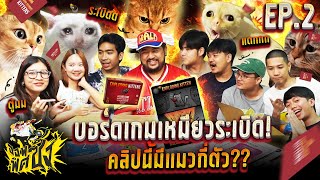 บอร์ดเกมเหมียวระเบิด เถิดเทิง Ep2 ฝูงแมวร้องโหยหวน X STAYGO [upl. by Pomona]