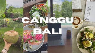 Bali Canggu Solo trip Vlog  Explore many vegan friendly Cafes  Coworking space [upl. by Eemia]