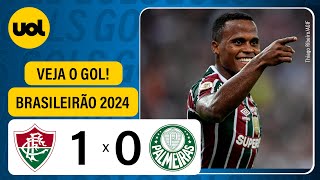 FLUMINENSE 1 X 0 PALMEIRAS  CAMPEONATO BRASILEIRO 2024 VEJA O GOL [upl. by Demha995]