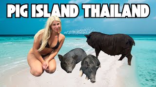 VISITING PIG ISLAND IN Koh Samui THAILAND 🇹🇭 [upl. by Kahn]