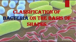 Bacterial Shapes and Arrangements  HPU BSc 1st Year [upl. by Ahsier]