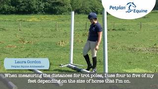 Petplan Equine Pole and Jumping Exercise Stride Guide [upl. by Alfonzo]