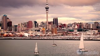 Auckland  City Video Guide [upl. by Junji]