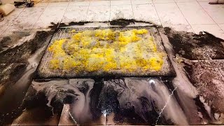 Deepest cleaning with New Method lll satisfying carpet cleaning ASMR [upl. by Dionne]