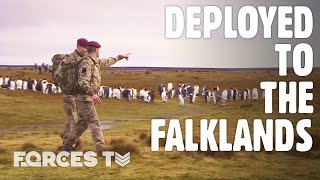 Guardians Of The South Atlantic UK Forces In The Falklands  Forces TV [upl. by Schechter]