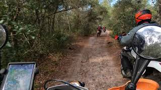 Ocala National Forest Dirt Biking KTM Husqvarna Yamaha Honda [upl. by Eillim]