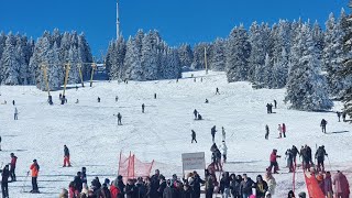 Uludağ Kayak Merkezi Uludag Ski Resort Bursa [upl. by Neggem449]