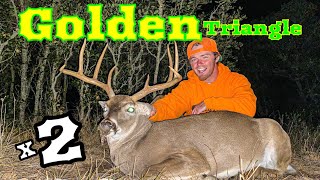 Texas DEER Hunting TROPHY WHITETAIL’S on Kerr WMA 2020 Deer season [upl. by Nilyram]