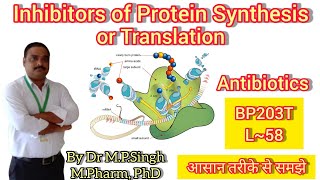 Inhibitors of Protein Synthesis or Translation  Biochemistry  BP203T  L58 [upl. by Gerianne]