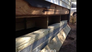 Main beam replacement  Floor Joist Termite Damage 3 of 4 [upl. by Yspyg]