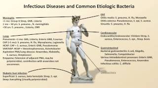 Bacterial Etiologies of Common Infections Antibiotics  Lecture 2 [upl. by Scharf988]