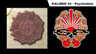 KALIBER 44  Psychodela OFFICIAL AUDIO [upl. by Bicknell638]